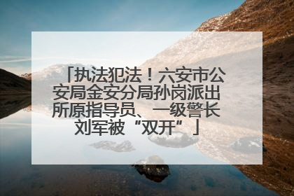 执法犯法！六安市公安局金安分局孙岗派出所原指导员、一级警长刘军被“双开”