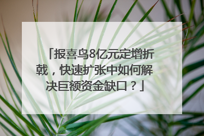 报喜鸟8亿元定增折戟，快速扩张中如何解决巨额资金缺口？