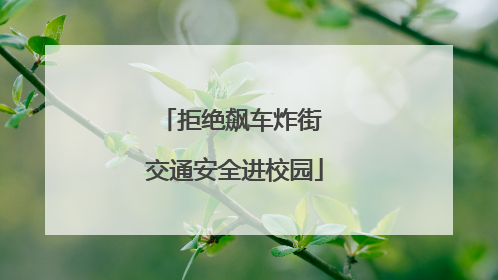 拒绝飙车炸街 交通安全进校园