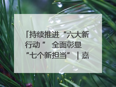 持续推进“六大新行动 ” 全面彰显“七个新担当”｜嘉禾县：加快铸造行业提档升级 助力绿色高质量发展