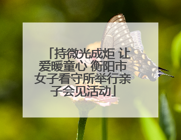 持微光成炬 让爱暖童心 衡阳市女子看守所举行亲子会见活动