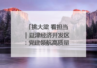 挑大梁 看担当｜夏津经济开发区：党建领航高质量发展新实践