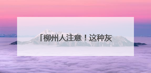 柳州人注意！这种灰黑色小虫看到一只，家里很可能已有一万只
