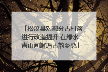 松溪县对部分古村落进行改造提升 在绿水青山间邂逅古韵乡愁