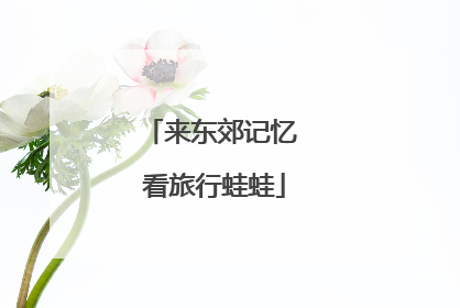 来东郊记忆 看旅行蛙蛙