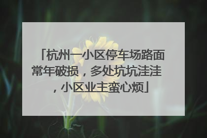 杭州一小区停车场路面常年破损，多处坑坑洼洼，小区业主蛮心烦