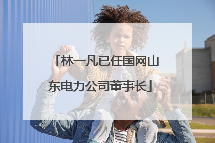 林一凡已任国网山东电力公司董事长