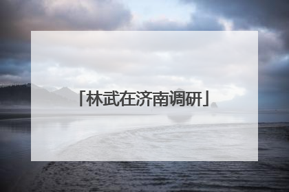 林武在济南调研