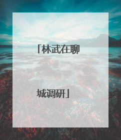 林武在聊城调研