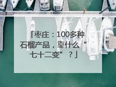 枣庄：100多种石榴产品，靠什么“七十二变”？