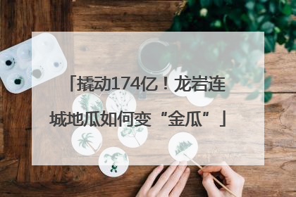 撬动174亿！龙岩连城地瓜如何变“金瓜”