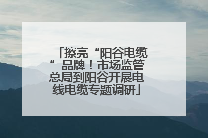 擦亮“阳谷电缆”品牌！市场监管总局到阳谷开展电线电缆专题调研