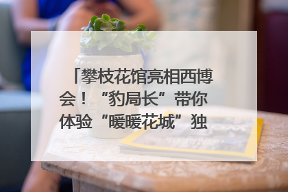 攀枝花馆亮相西博会！“豹局长”带你体验“暖暖花城”独特魅力｜西博视界