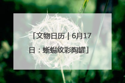 文物日历｜6月17日：蜥蜴纹彩陶罐