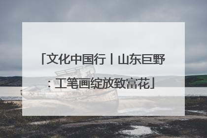 文化中国行丨山东巨野：工笔画绽放致富花