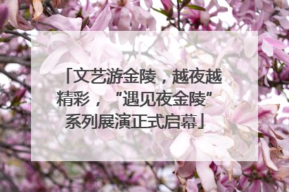 文艺游金陵，越夜越精彩，“遇见夜金陵”系列展演正式启幕
