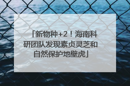 新物种+2！海南科研团队发现素贞灵芝和自然保护地壁虎
