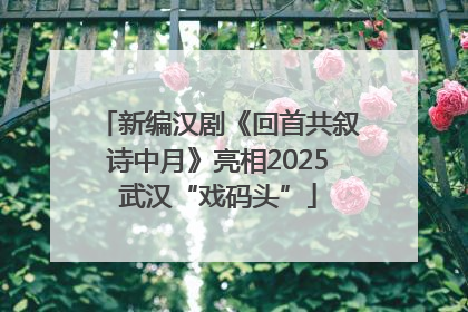 新编汉剧《回首共叙诗中月》亮相2025武汉“戏码头”