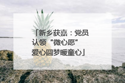 新乡获嘉：党员认领“微心愿” 爱心圆梦暖童心