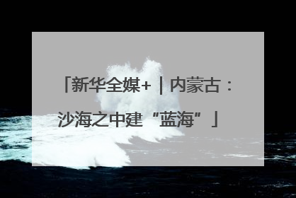 新华全媒+｜内蒙古：沙海之中建“蓝海”