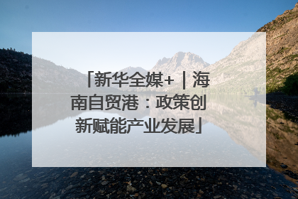 新华全媒+｜海南自贸港：政策创新赋能产业发展