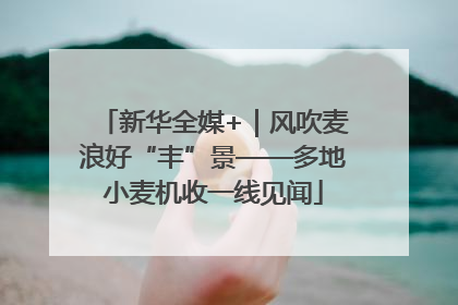 新华全媒+｜风吹麦浪好“丰”景——多地小麦机收一线见闻