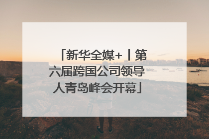 新华全媒+丨第六届跨国公司领导人青岛峰会开幕