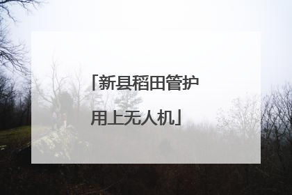 新县稻田管护用上无人机