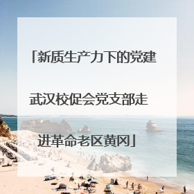 新质生产力下的党建 武汉校促会党支部走进革命老区黄冈
