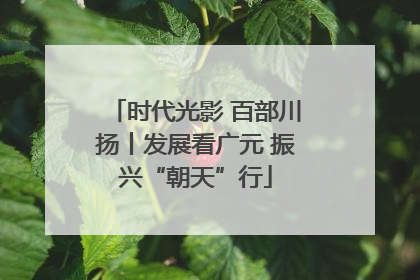 时代光影 百部川扬丨发展看广元 振兴“朝天”行