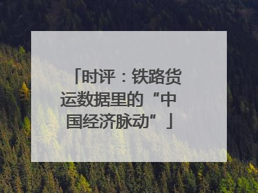 时评：铁路货运数据里的“中国经济脉动”