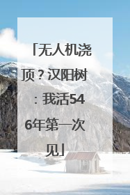 无人机浇顶？汉阳树：我活546年第一次见