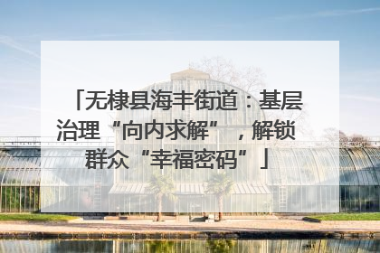 无棣县海丰街道：基层治理“向内求解”，解锁群众“幸福密码”
