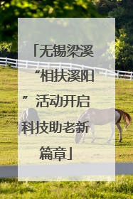 无锡梁溪“相扶溪阳”活动开启科技助老新篇章