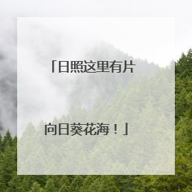 日照这里有片向日葵花海！