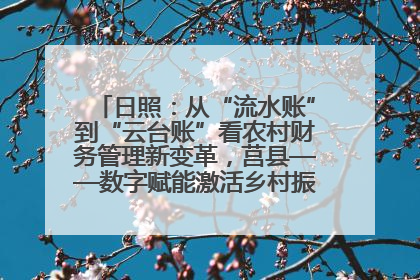 日照：从“流水账”到“云台账”看农村财务管理新变革，莒县——数字赋能激活乡村振兴“一池春水”