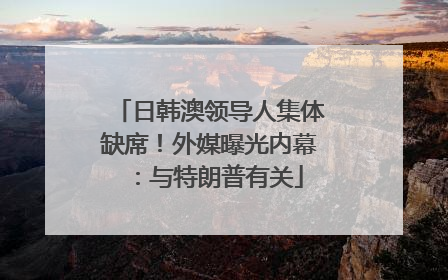 日韩澳领导人集体缺席！外媒曝光内幕：与特朗普有关