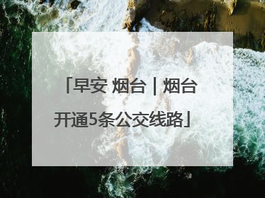 早安 烟台｜烟台开通5条公交线路