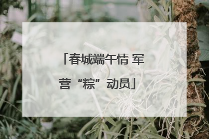 春城端午情 军营“粽”动员