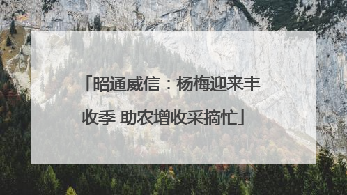 昭通威信：杨梅迎来丰收季 助农增收采摘忙