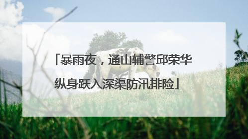 暴雨夜，通山辅警邱荣华纵身跃入深渠防汛排险
