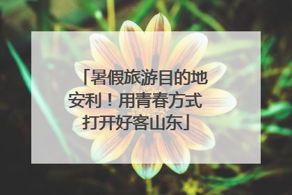 暑假旅游目的地安利！用青春方式打开好客山东