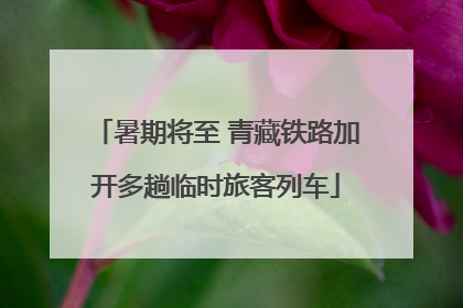 暑期将至 青藏铁路加开多趟临时旅客列车