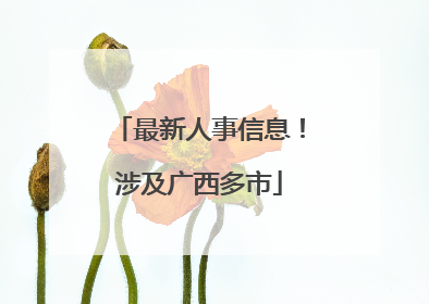 最新人事信息！涉及广西多市