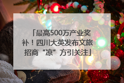 最高500万产业奖补！四川大英发布文旅招商“凉”方引关注