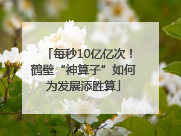 每秒10亿亿次！鹤壁“神算子”如何为发展添胜算