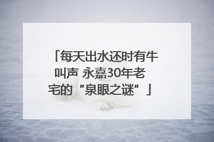 每天出水还时有牛叫声 永嘉30年老宅的“泉眼之谜”