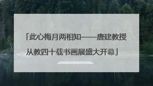 此心梅月两相知——唐建教授从教四十载书画展盛大开幕