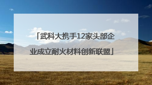 武科大携手12家头部企业成立耐火材料创新联盟