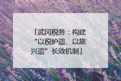 武冈税务：构建“以税护遗、以旅兴遗”长效机制